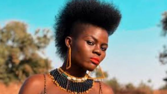 The Life of Wiyaala the Lioness of Africa - Successful Era